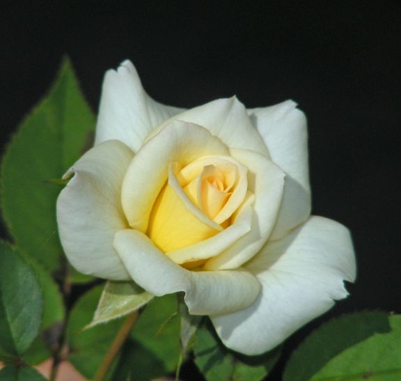 Yantai photo yan2014_07260031_zps72a53929.jpg